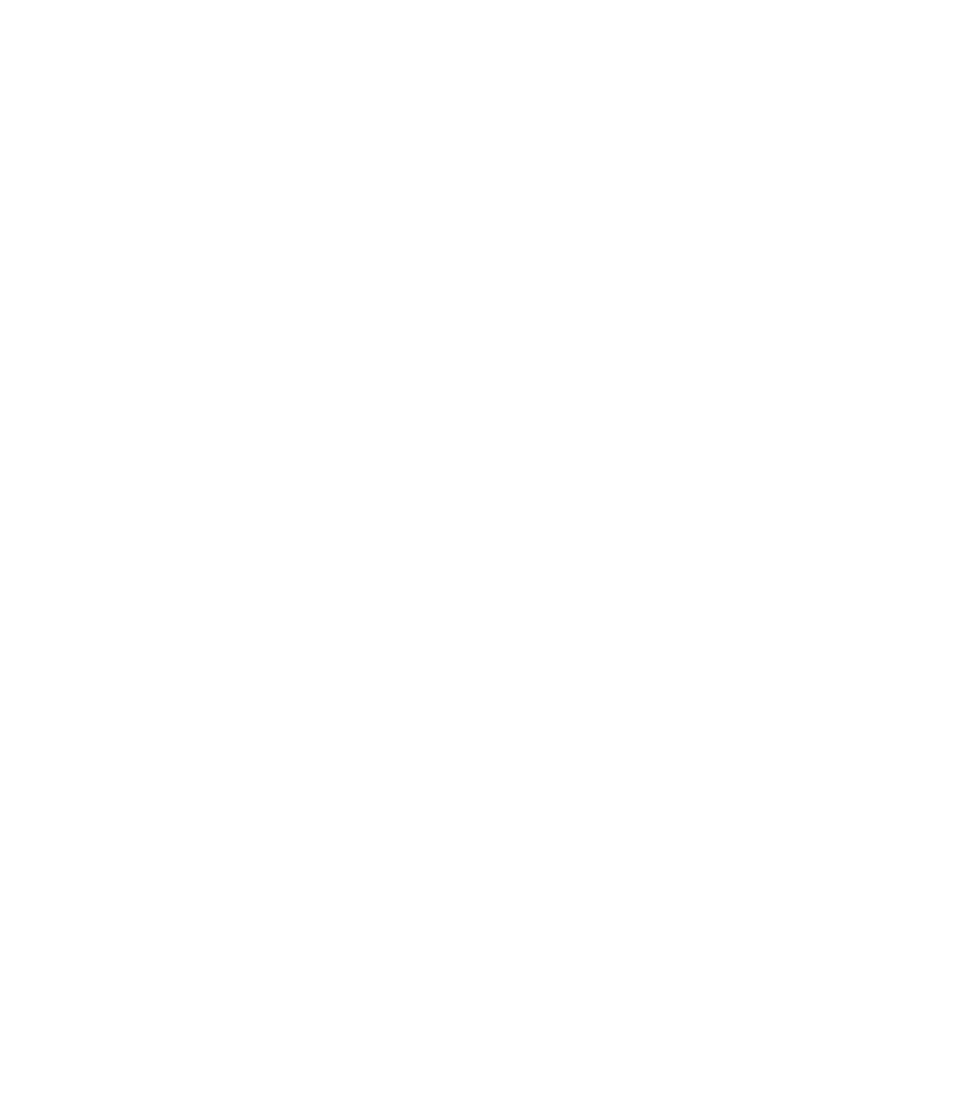 Raging Waves logo